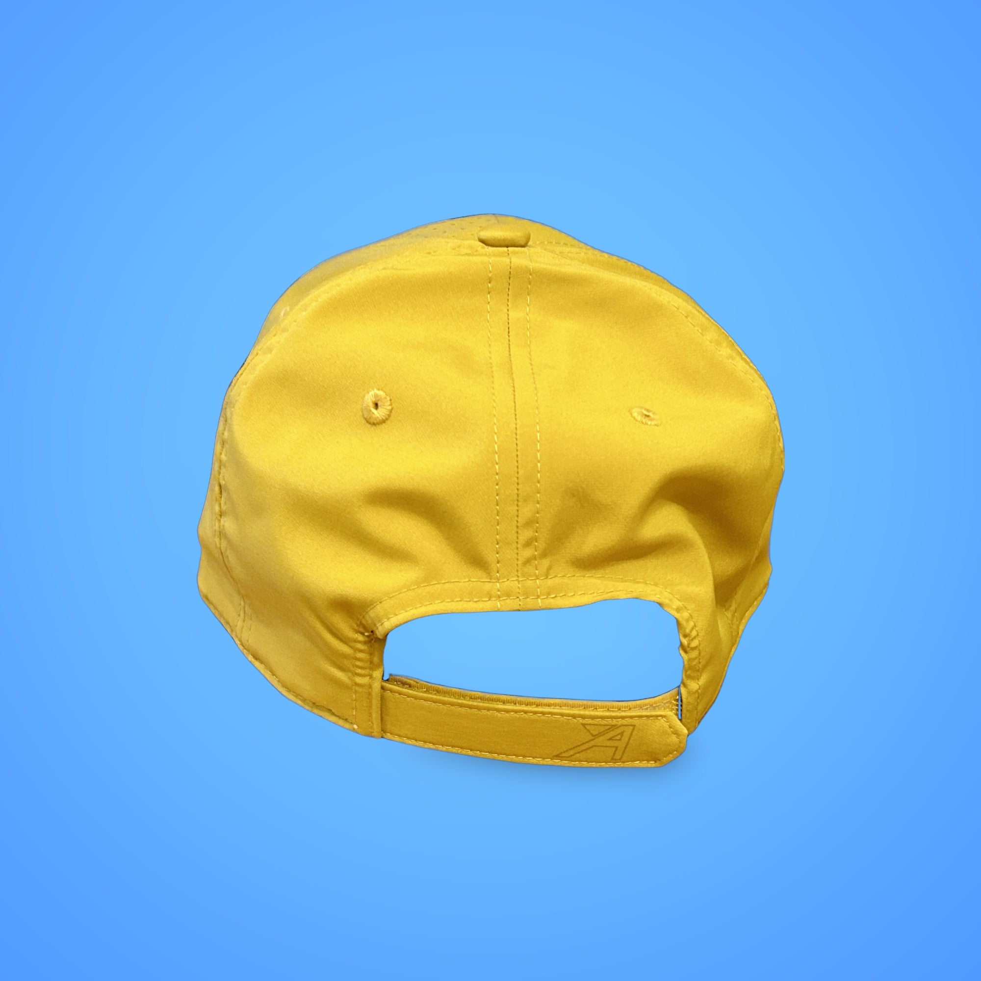 Flydays baseball style hat